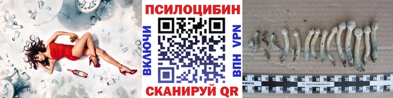 Галлюциногенные грибы Magic Shrooms  Болхов 